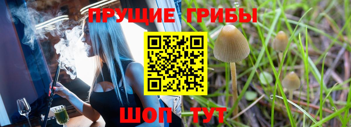 Галлюциногенные грибы мицелий Пугачёв