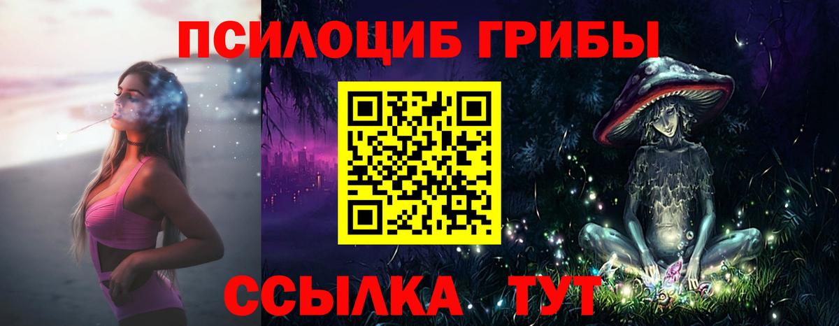 Псилоцибиновые грибы прущие грибы  Галлюциногенные грибы Psilocybine cubensis  Вход с VPN  Пугачёв 